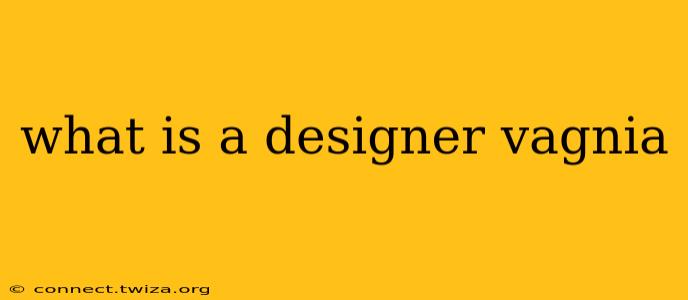 what is a designer vagnia