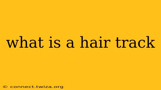 what is a hair track