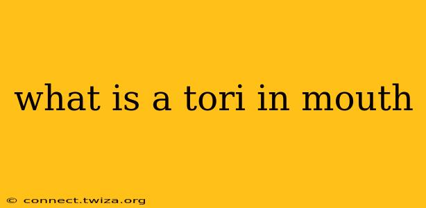 what is a tori in mouth