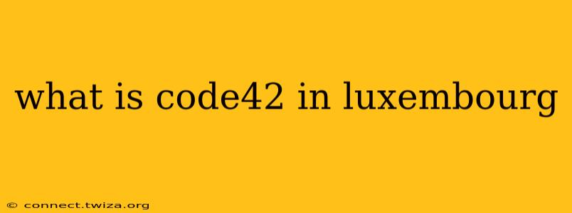 what is code42 in luxembourg