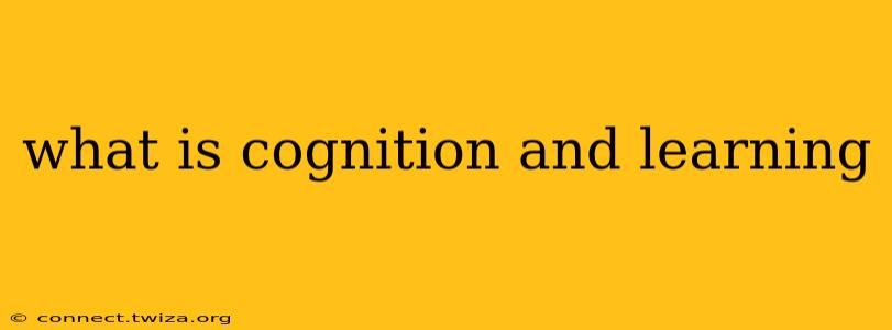 what is cognition and learning