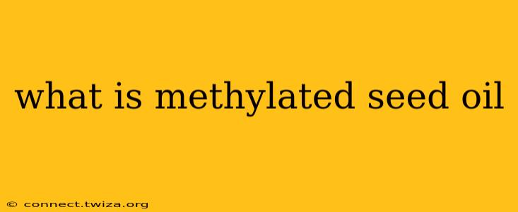 what is methylated seed oil