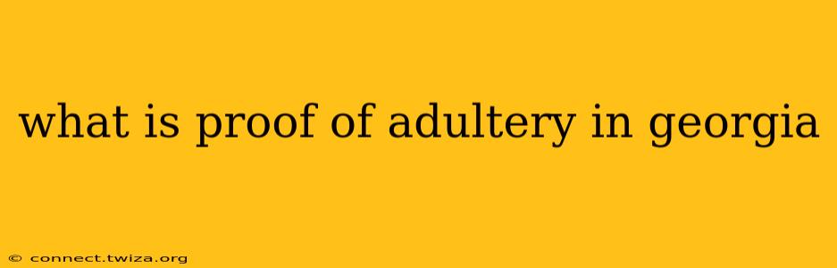what is proof of adultery in georgia