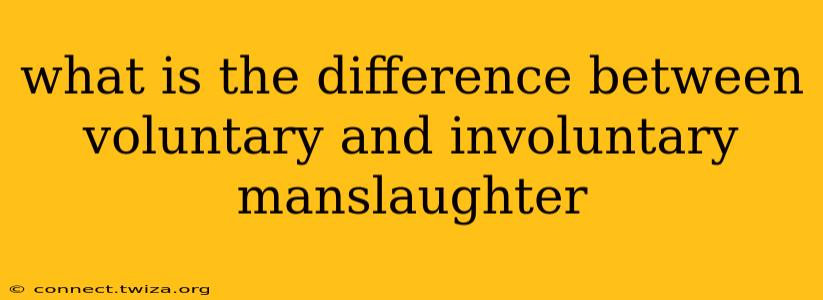 what is the difference between voluntary and involuntary manslaughter
