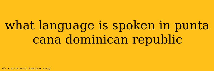 what language is spoken in punta cana dominican republic
