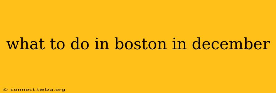 what to do in boston in december
