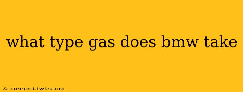 what type gas does bmw take
