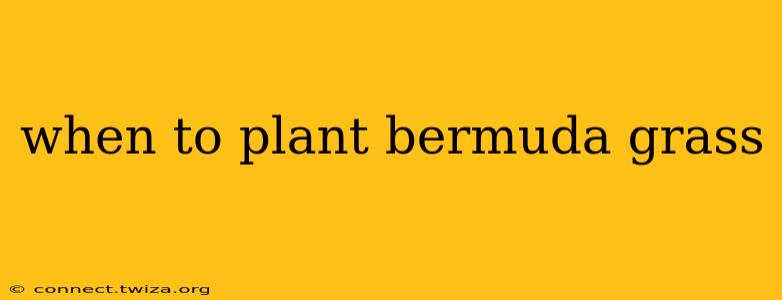 when to plant bermuda grass