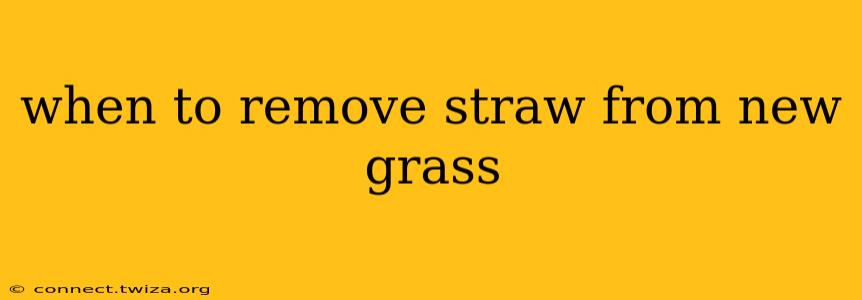 when to remove straw from new grass
