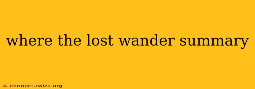 where the lost wander summary