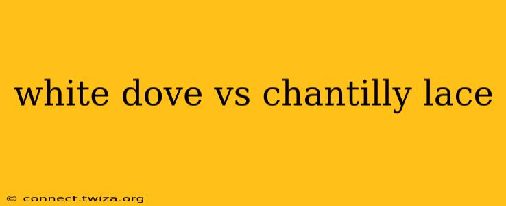 white dove vs chantilly lace