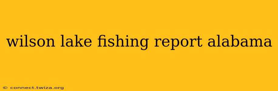 wilson lake fishing report alabama