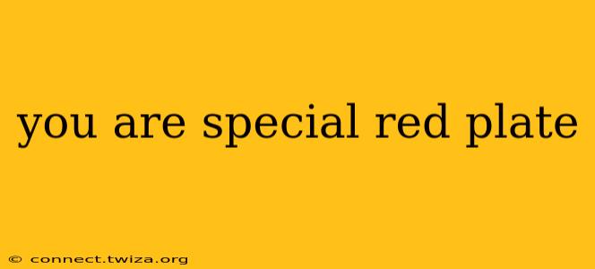 you are special red plate